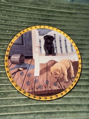 The Hamilton Collection - Did I Do That Plate Collection